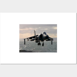 Sea Harrier Hovering Posters and Art